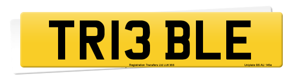 Registration number TR13 BLE